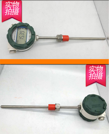 防爆數(shù)顯溫度計(jì)